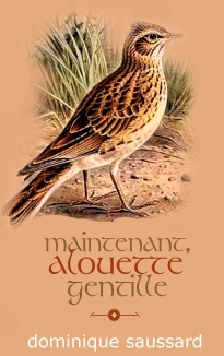 alouette des champs