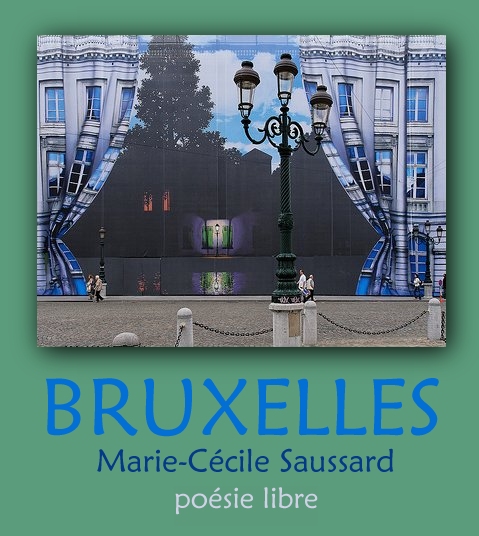 illustration, droits multiples