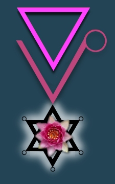 illustration 11