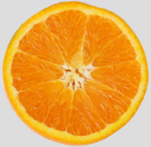 fruit